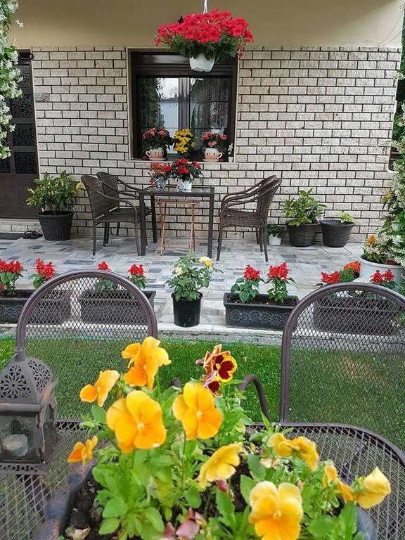 Guest House Vaso ออร์มา ภายนอก รูปภาพ